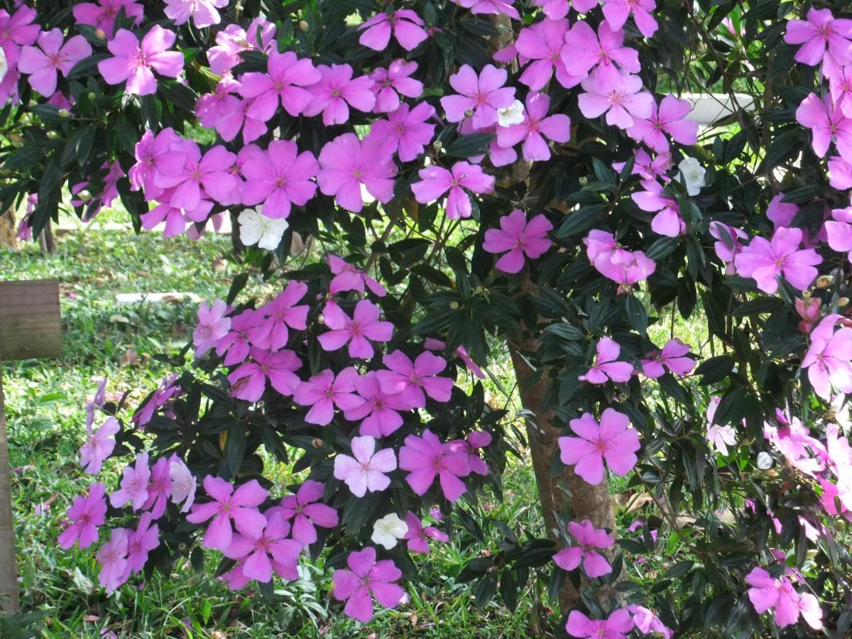 Eco Pousada Passaredo Sao Miguel Arcanjo Luaran gambar