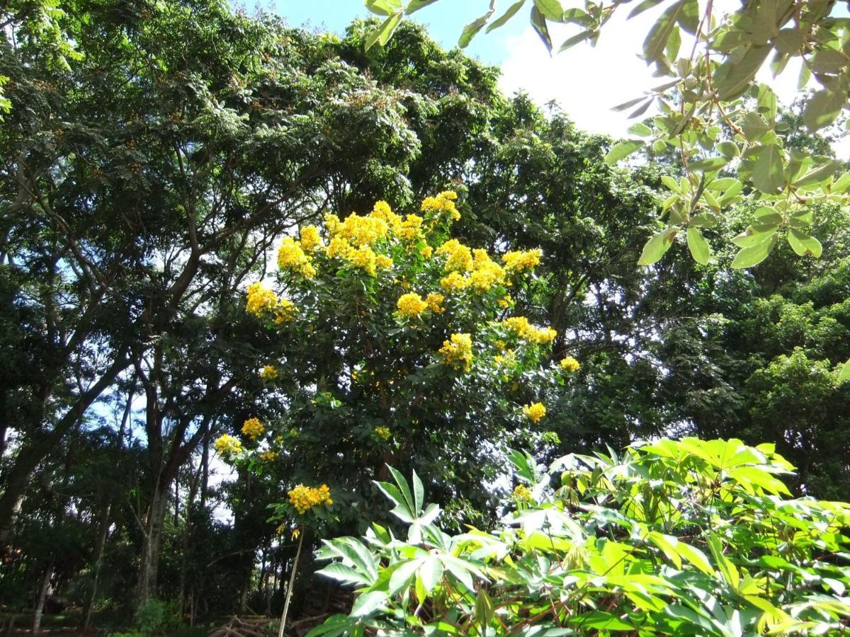 Eco Pousada Passaredo Sao Miguel Arcanjo Luaran gambar